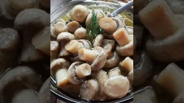 МАРИНОВАННЫЕ ЛИСИЧКИ. смотреть онлайн