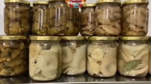 Моховики маринованные