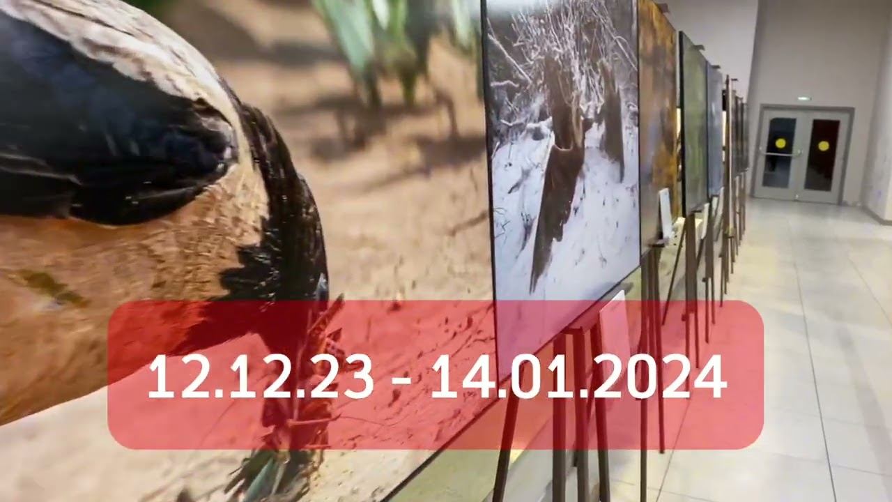 Фотовыставка смотреть онлайн