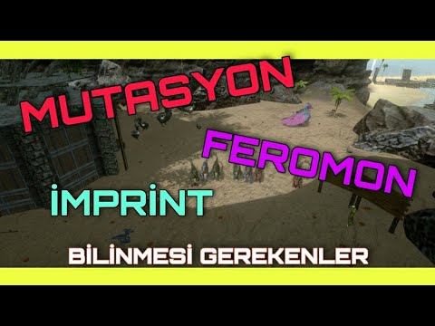 MUTASYON, FEROMON, İMPRİNT | Ark Survival Evolved Mobile Türkçe смотреть онлайн