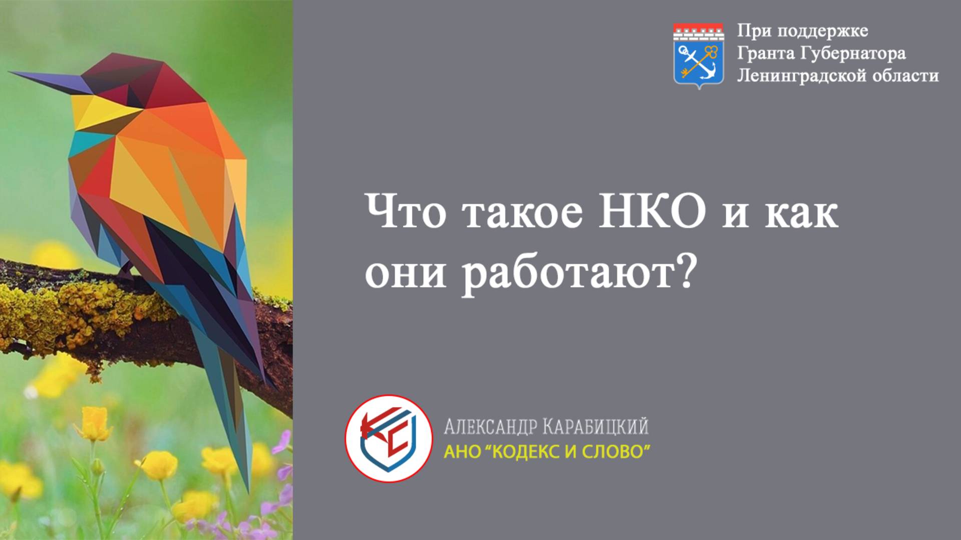 Выпуск 1. Что такое НКО и как они работают?
