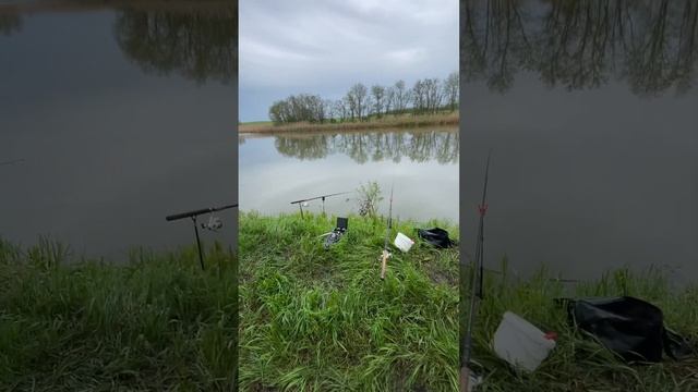 Весенняя рыбалка в Краснодарском Крае #природа #рыбалка #отдых #хобби #умиротворение смотреть онлайн