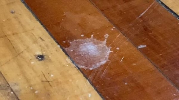 Я переночевал в худших отелях Беларуси