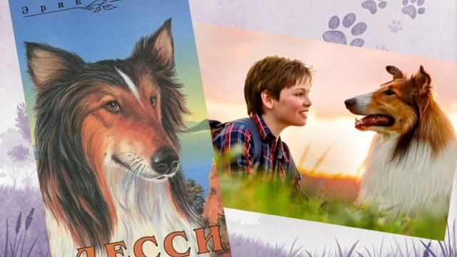 Век за веком рядом с человеком смотреть онлайн