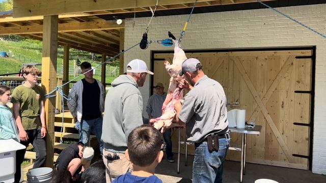 Pig Processing With The Younger Generation!