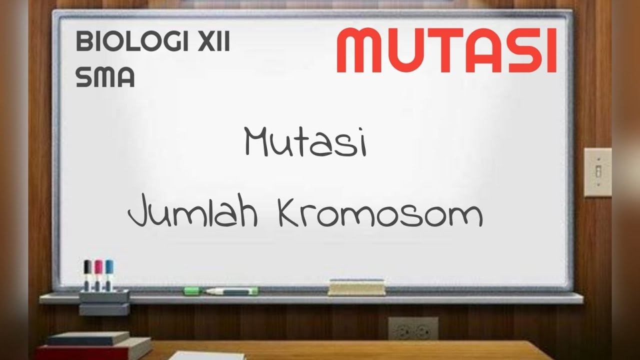 MUTASI Biologi Kelas XII SMA : mutasi jumlah kromosom смотреть онлайн