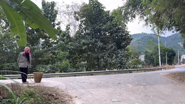 The Danger of Single Woman When Human Traffickers Appear , Lý Tử Thao смотреть онлайн