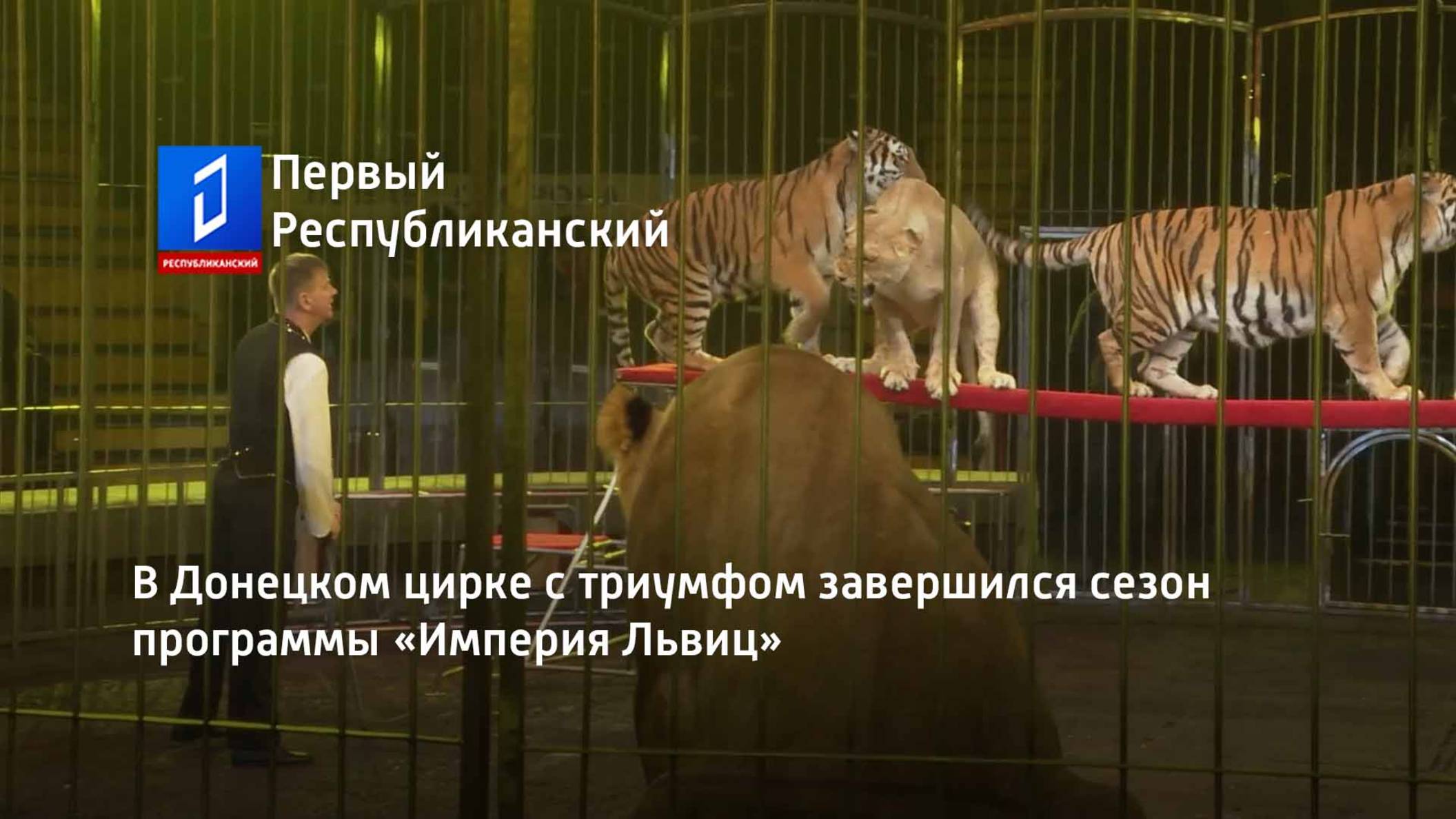 В Донецком цирке с триумфом завершился сезон программы «Империя Львиц» смотреть онлайн