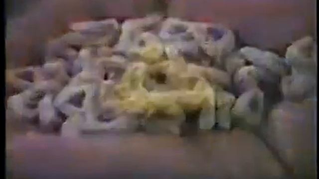 Purina Special Dinners ad, 1978 смотреть онлайн