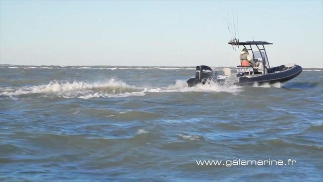 GALA Viking V650F - FISHING in France смотреть онлайн