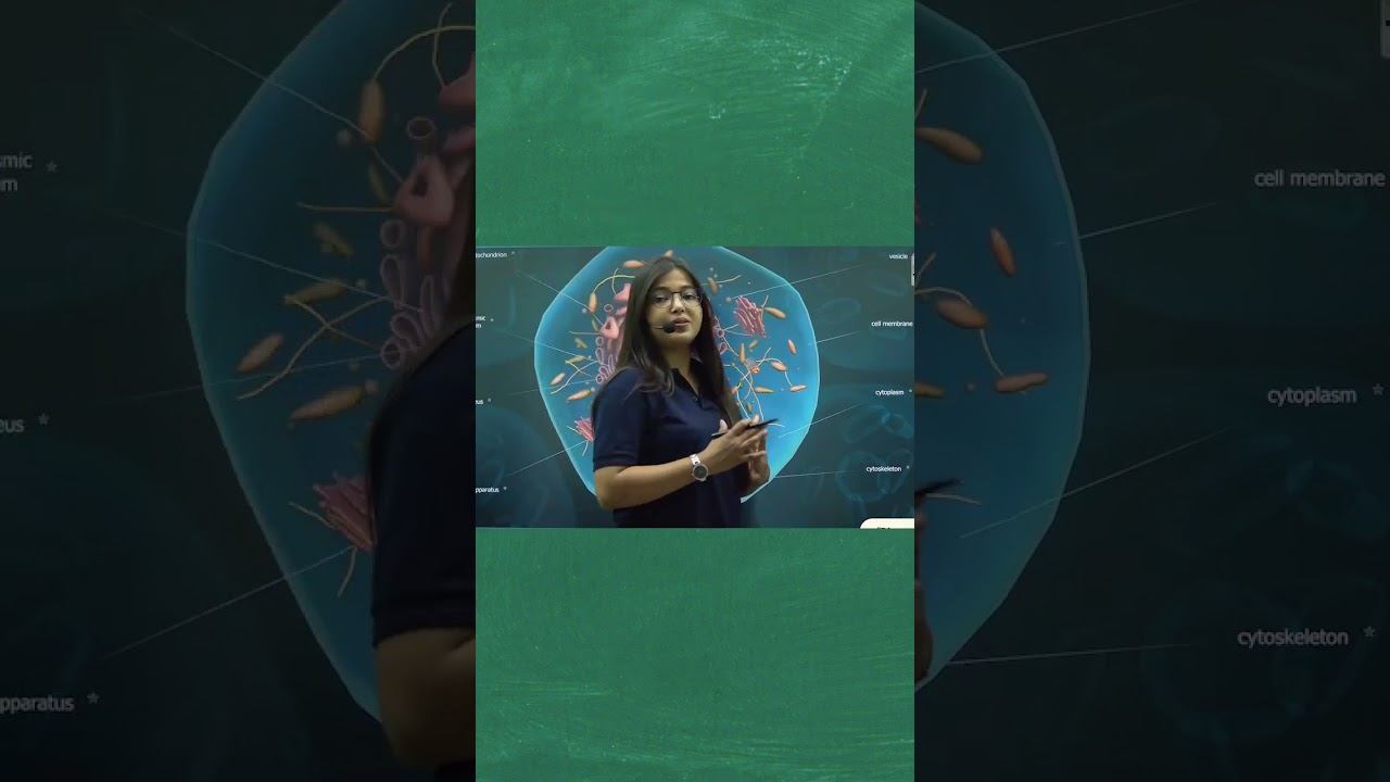 Animal Cell Vs Plant Cell (Full video link in the comment)#animalcellandplantcell #cbseclass6scienc смотреть онлайн