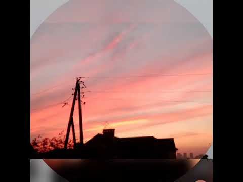 Чуть чуть о том какое у нас лето смотреть онлайн
