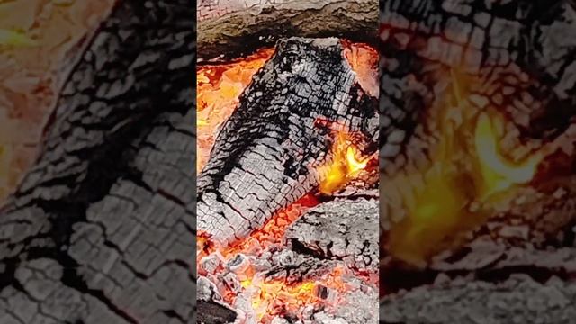 Шопот огня. смотреть онлайн