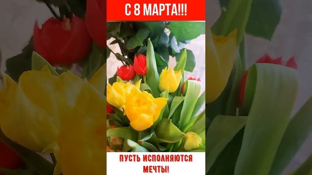 С 8 МАРТА! Пусть исполняются мечты! Не дари мне крокодила! смотреть онлайн