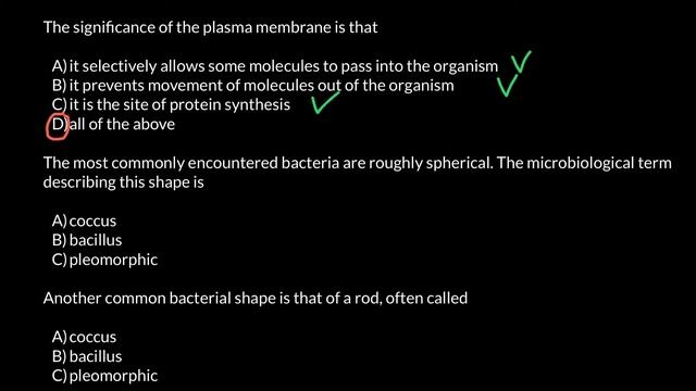 Bacterial shapes: Coccus, Bacillus, Pleomorphic смотреть онлайн