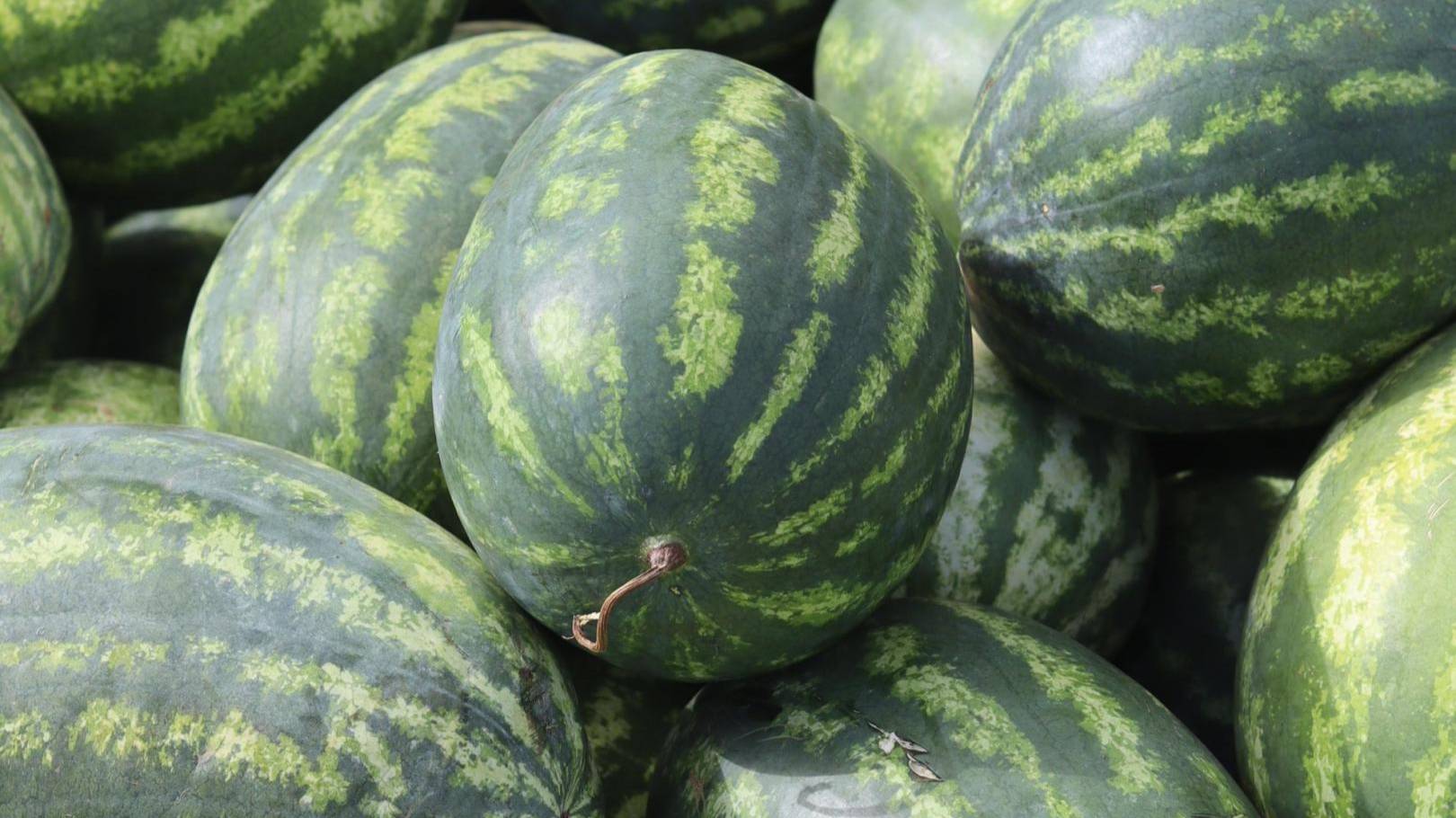 играю в кринжовую митозу