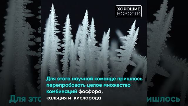 Нижегородские ученые научились выращивать кости в пробирке смотреть онлайн