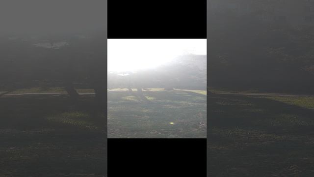 Зима в Анапе