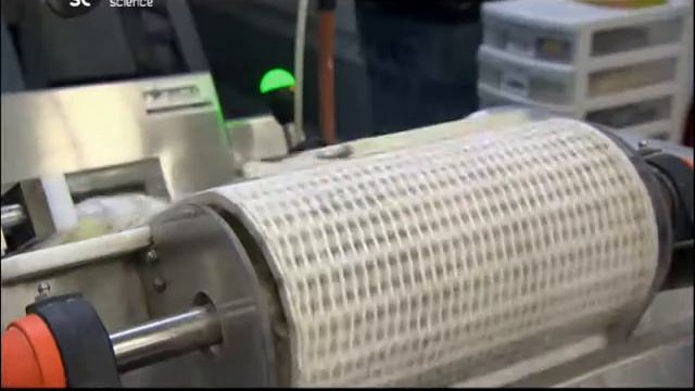 Пищевая фабрика Food Factory Holy Pierogy