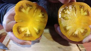 томат 3ебра желтая (Козула 179)пробую