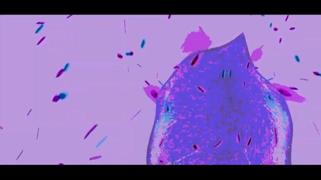 Tobias Indigo - Despertar [Ft. Consuelo Rueda] (Videoclip Oficial) смотреть онлайн
