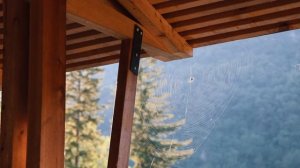 СЛОВЕНИЯ 2024 | ПРИРОДА И ЖИЗНЬ В САМОЙ КРАСИВОЙ СТРАНЕ ЕВРОПЫ