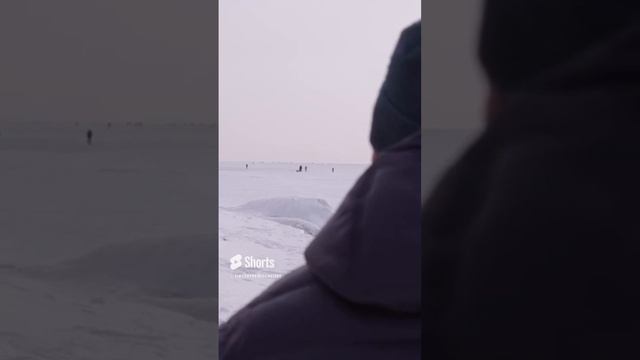 Из фильма «Русские• XXI век».5 смотреть онлайн