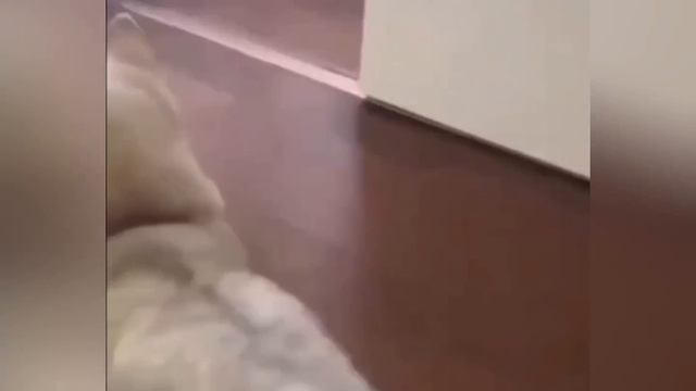 Корпорация Юмора - Видео Корпорация Юмора смотреть онлайн