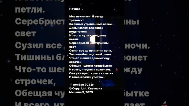 Мне не спится. Стихи. Светлана Мишина #поэзия #стихи #путь #состояние_потока #ночь#сон#релакс смотреть онлайн