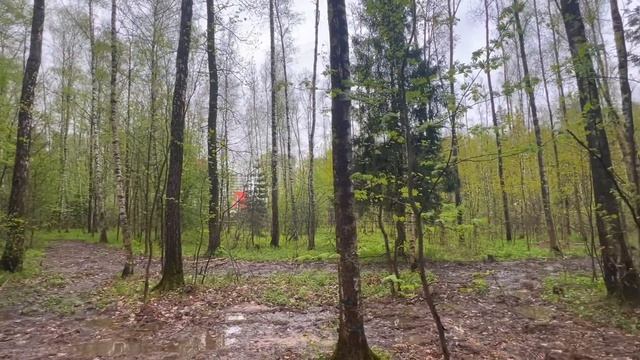 Жена! Девочка, которая делает у мамы уборку, заболела. Так что завтра ты должна быть у нее в10:00