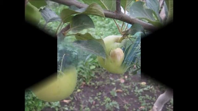 Гравитация смотреть онлайн