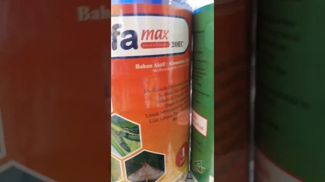#Alfatrin смотреть онлайн