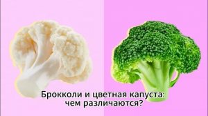 В чем польза брокколи? Действительно ли брокколи- идеальный продукт для тех, кто хочет сбросить вес