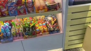 Международный аэропорт Сочи/обзор секторов