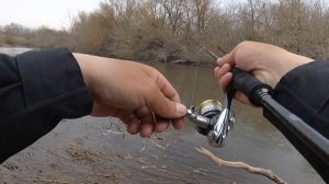 ВОТ ТАК ОТКРЫТИЕ СЕЗОНА! Первый жерех 2021 года. Ловля жереха на спиннинг весной