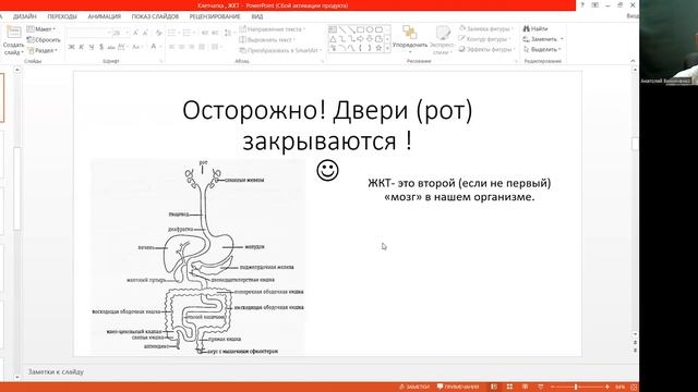 Вода Микробиом Клетчатка смотреть онлайн