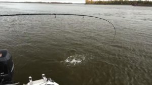 Спиннинги для джига Norstream Spiker II. Часть первая