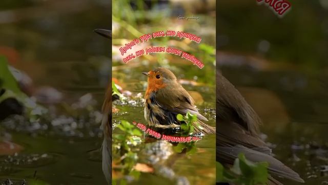 🙃 Доброе утро земляне 💫 смотреть онлайн