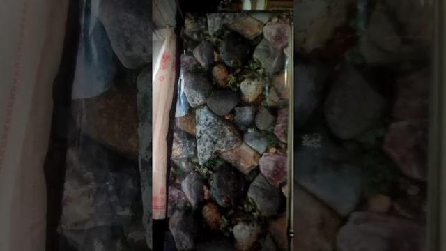 рыбные палочки с селедкай🤑 смотреть онлайн