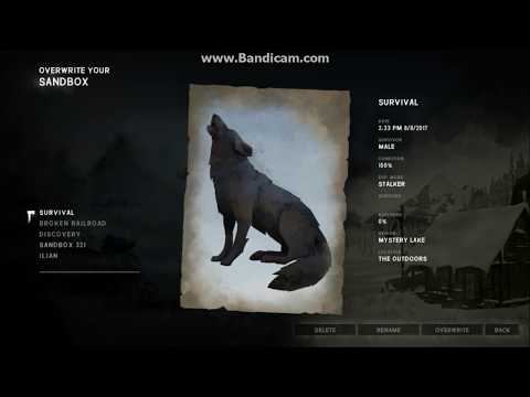 The Long Dark- Survival Mode