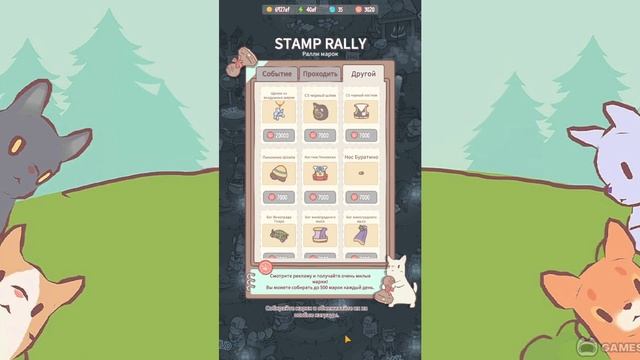 Кошки и суп