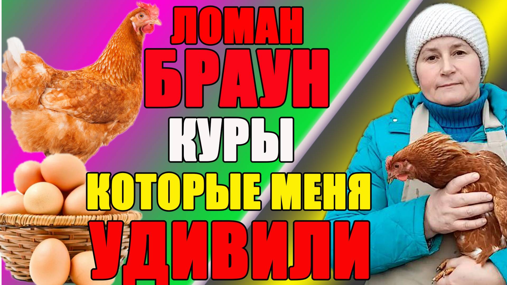 ЛОМАН БРАУН - куры , которые меня УДИВИЛИ. смотреть онлайн