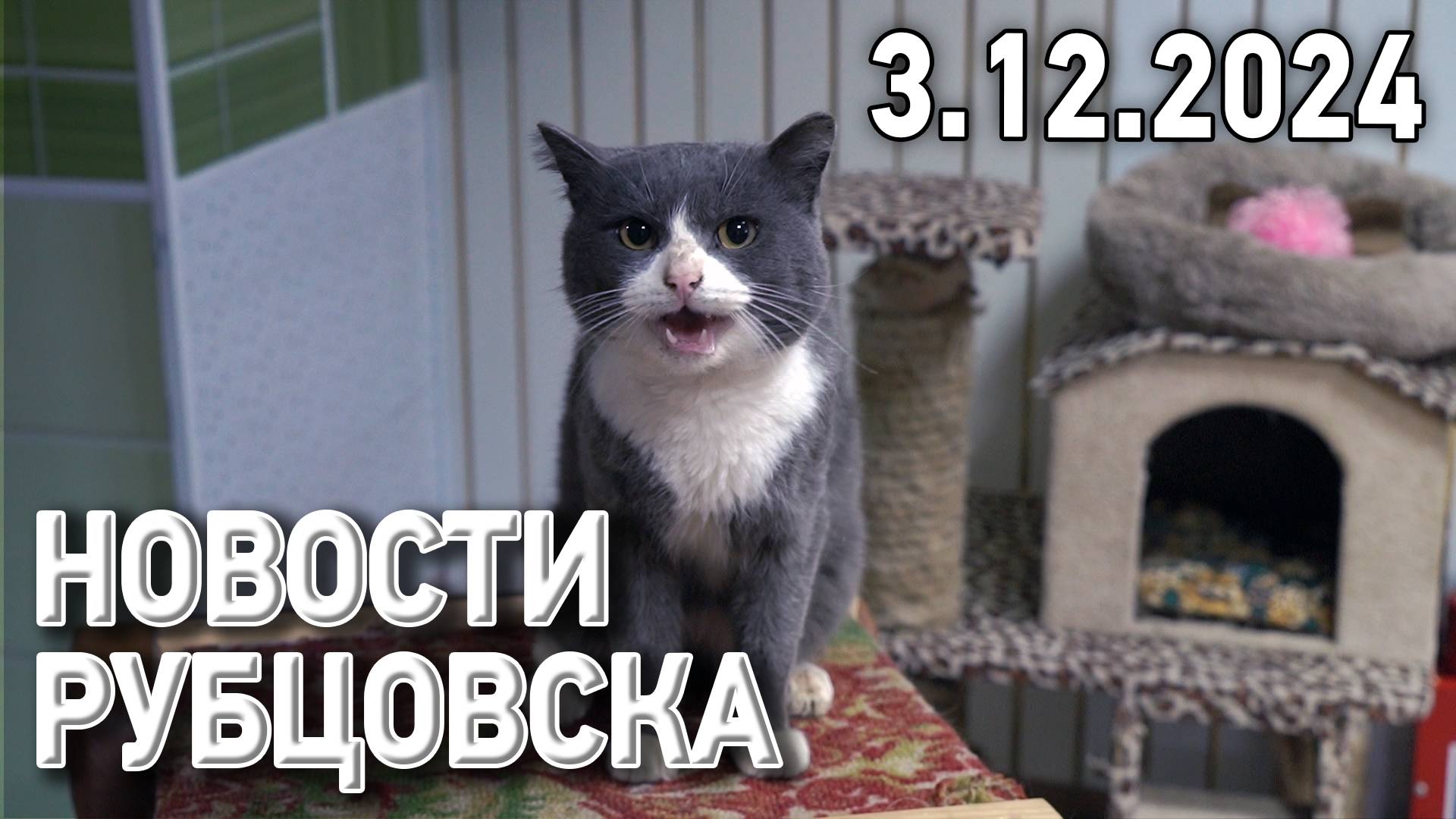 Новости Рубцовска (03.12.2024) смотреть онлайн