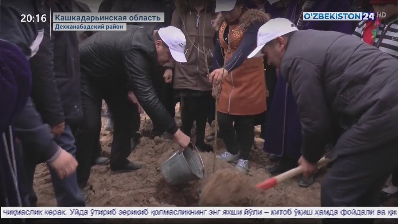 Работа с молодёжью в Кашкадарье смотреть онлайн