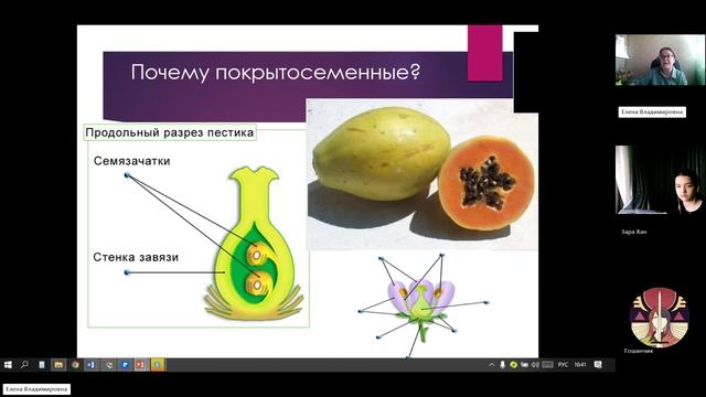 7 класс_3.12_11_Классификация покрытосеменных смотреть онлайн