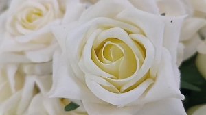 *Белые розы*Юра Шатунов. одна из самых любимых песен миллионов. Белые розы беззащитны шипы..