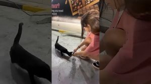 Кира Тимралеева и Мусим Ашуров пробуют дубайский шоколад