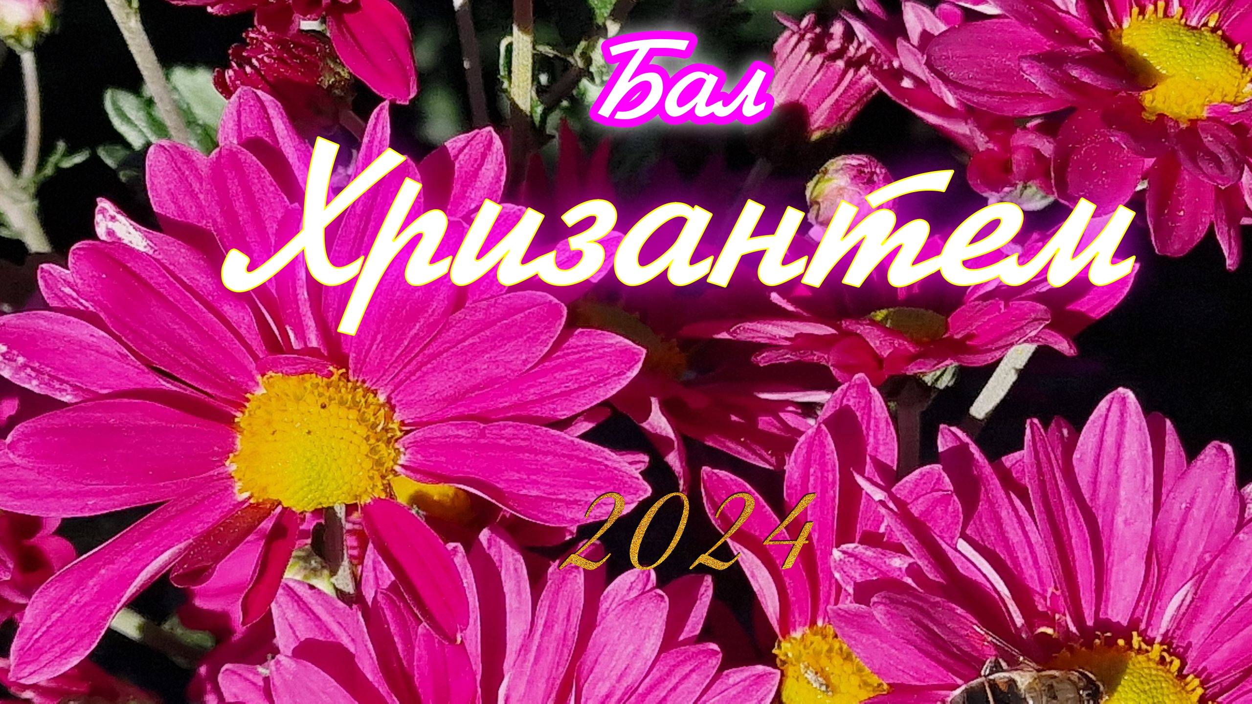 Крым. Бал Хризантем 2024 смотреть онлайн