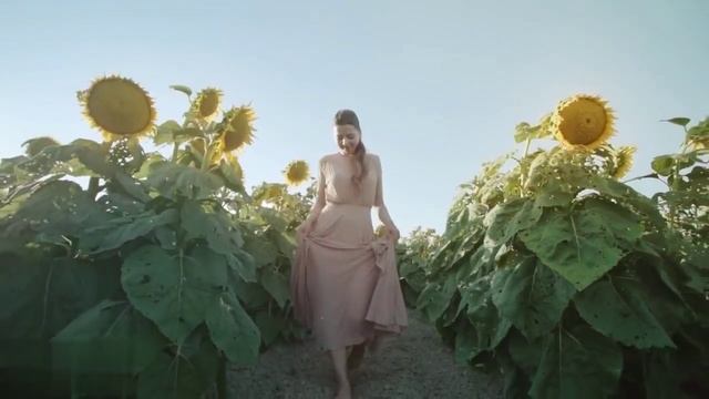 Nando Fortunato - In The Dark смотреть онлайн