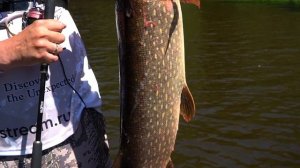 Norstream Standard IV. Лучшие бюджетные спиннинги для джига 2021 года